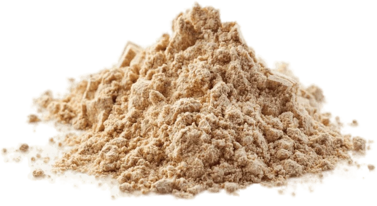 Inulin from Chicory Root