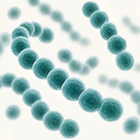 Streptococcus salivarius